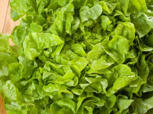 生菜的功效，吃生菜有什么好处