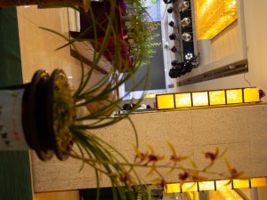 兰花脱水怎么办