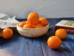 金桔的虫害防治方法