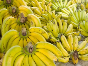 香蕉怎么做，脆皮香蕉的做法