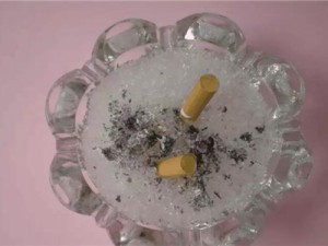 抽完的烟头不要丢 养花去污杀蚊虫