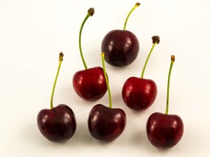 大樱桃苗的品种和价格