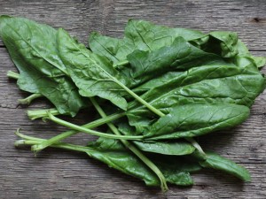 菠菜的功效与作用