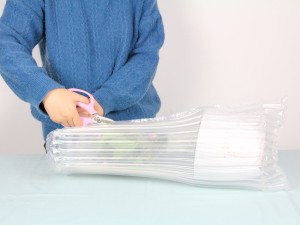 金边瑞香的水培方法