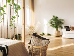 宫灯长寿花叶子萎蔫怎么办