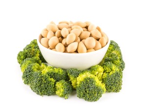 银杏是什么植物，银杏属于哪类植物