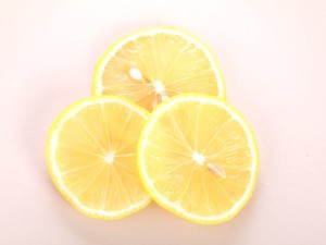 柠檬的虫害及其防治