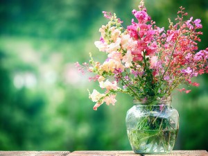 哪些鲜花适合应用在婚礼上