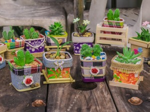 判断半枝莲的盆土变干的方法