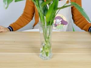 富贵竹风水大盘点，不懂你就吃大亏了