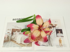 百合花花苞长不好怎么办