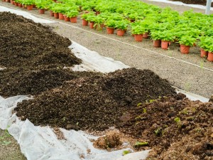 怎么往盆里装土