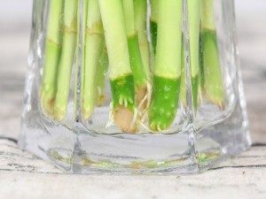 风水里最吉祥的花