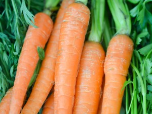 胡萝卜的常见品种