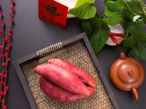 红薯水培教程来了，吃它胜过吃人参