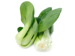 油菜的病害防治方法