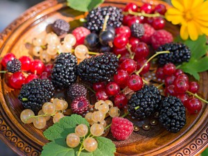 桑葚的功效与作用