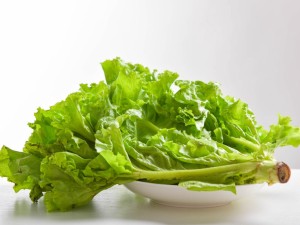 生菜吃多了会有害处吗