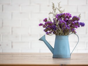 勿忘我的花语是什么