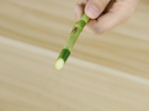 富贵竹不生根怎么回事（最快生根方法）