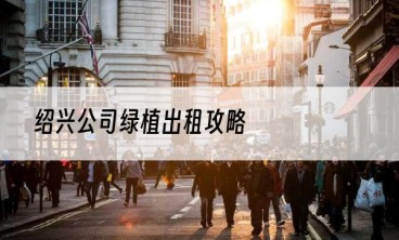 绍兴公司绿植出租攻略