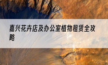 嘉兴花卉店及办公室植物租赁全攻略