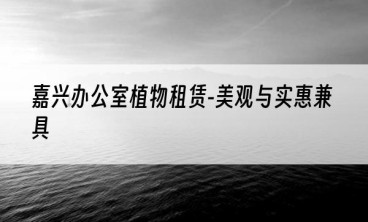 嘉兴办公室植物租赁-美观与实惠兼具
