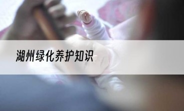 湖州绿化养护知识