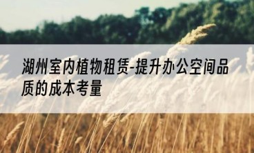 湖州室内植物租赁-提升办公空间品质的成本考量