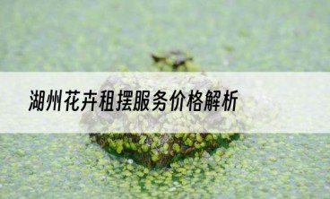 湖州花卉租摆服务价格解析