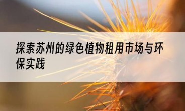 探索苏州的绿色植物租用市场与环保实践