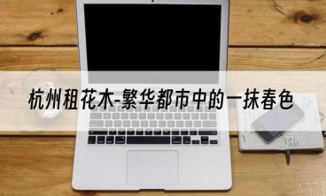 杭州租花木-繁华都市中的一抹春色