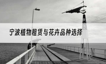 宁波植物租赁与花卉品种选择