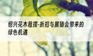 绍兴花木租摆-折扣与展销会带来的绿色机遇