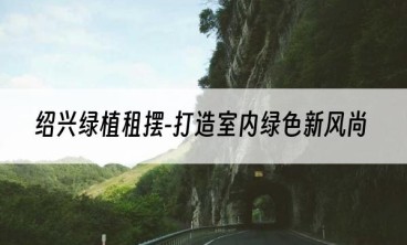 绍兴绿植租摆-打造室内绿色新风尚