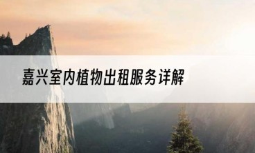 嘉兴室内植物出租服务详解