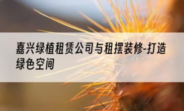 嘉兴绿植租赁公司与租摆装修-打造绿色空间
