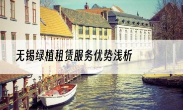 无锡绿植租赁服务优势浅析