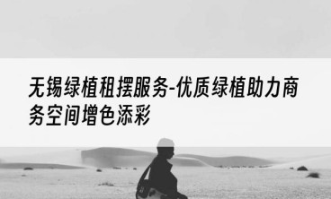 无锡绿植租摆服务-优质绿植助力商务空间增色添彩