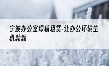 宁波办公室绿植租赁-让办公环境生机勃勃