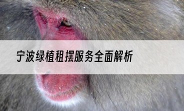 宁波绿植租摆服务全面解析