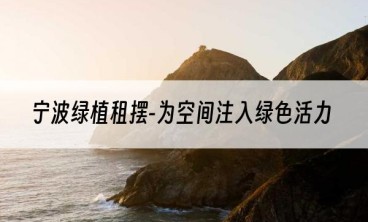 宁波绿植租摆-为空间注入绿色活力