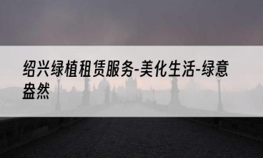 绍兴绿植租赁服务-美化生活-绿意盎然
