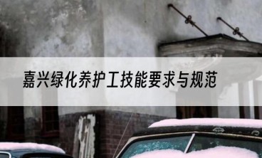 嘉兴绿化养护工技能要求与规范