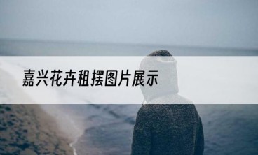 嘉兴花卉租摆图片展示