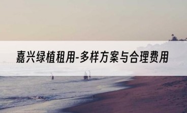 嘉兴绿植租用-多样方案与合理费用