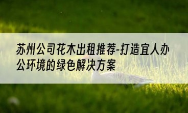 苏州公司花木出租推荐-打造宜人办公环境的绿色解决方案