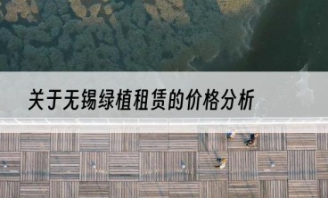 关于无锡绿植租赁的价格分析