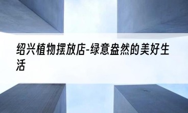 绍兴植物摆放店-绿意盎然的美好生活