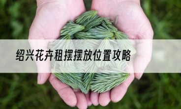 绍兴花卉租摆摆放位置攻略